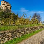 © GR® de Pays Vignoble méridional et patrimoine_Saint-Romain-le-Puy - OTLF