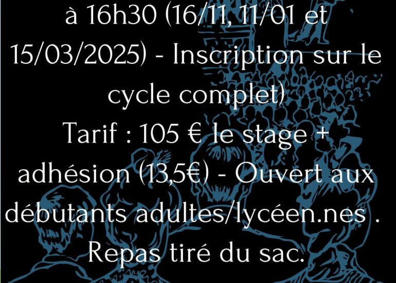 © Stage théâtre d'improvisation - ok