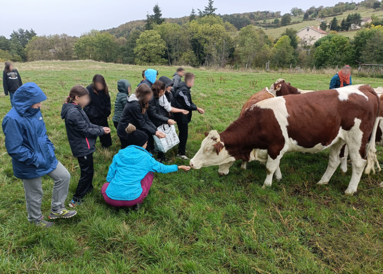 Viens visiter la ferme de Grandris_Saint-Bonnet-le-Courreau