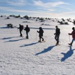 © Veillées nordiques en Loire Forez - Forez Tourisme