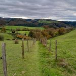 © Sentier découverte du viaduc du pont marteau : les chauves-souris - OT Forez-Est