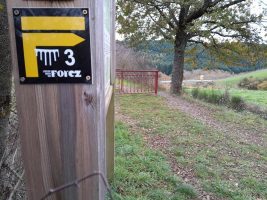 Sentier découverte du viaduc du pont marteau : les chauves-souris