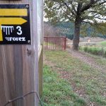 © Sentier découverte du viaduc du pont marteau : les chauves-souris_Sainte-Colombe-sur-Gand - OT FOREZ-EST