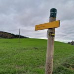 © Sentier découverte du viaduc du pont marteau : les chauves-souris_Sainte-Colombe-sur-Gand - OT FOREZ-EST