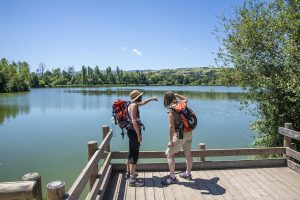 GR® 765 et Chemin de St-Jacques-de-Compostelle Cluny/Le-Puy-en-Velay