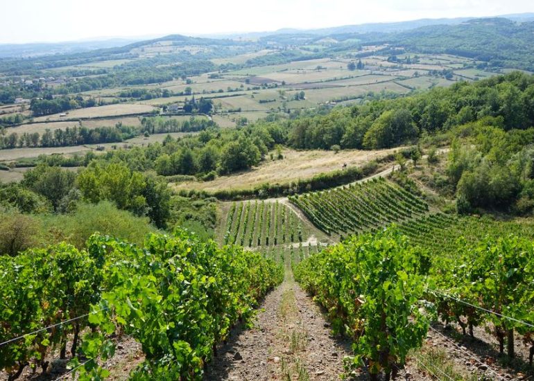 © Sur la route des vins en Loire volcanique - Lucie Goncalves