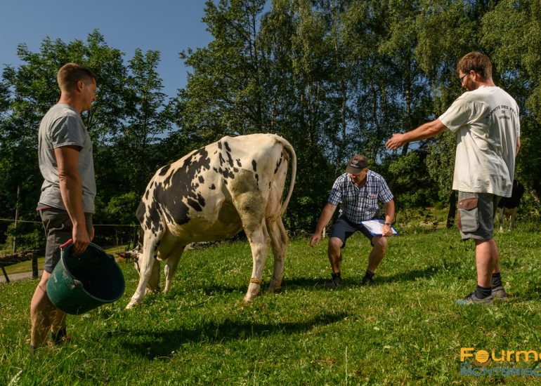 © Gaec des Gentianes - Farm visits_Sauvain - V Chambon