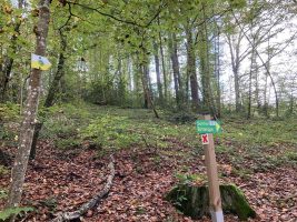 Sentier botanique de la vallée du Sault (départ de Montjean)