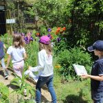 © Eccomuseum und Pfarrgarten - Ecomusée des Monts du Forez