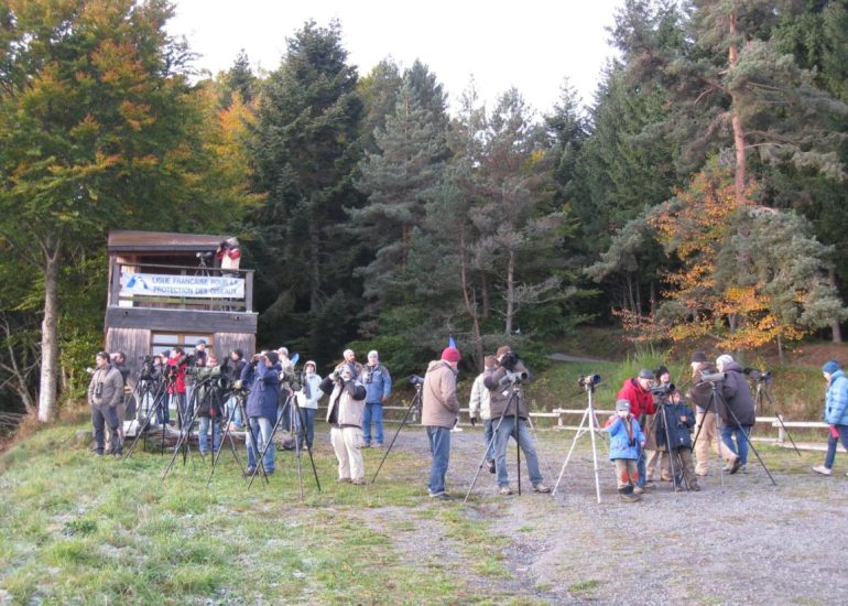 © Observatorium der Passhöhe Baracuchet - LPO LOIRE