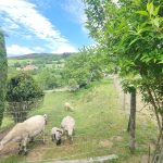 © Le Temps des Cerises - Gîtes de France