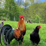 © Au Temps Passé - Gîtes de France