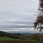 © Sentier Faune et Flore autour du Bernand_Néronde - OT FOREZ-EST