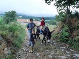 Randos pays'ânes - hiking in the company of a donkey