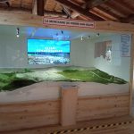 Museum of Fourme (cheese) and Traditions