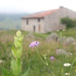 © Réserve Naturelle Régionale des Jasseries de Colleigne - Lucie Verdier - CEN RA