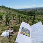 © Enquête game à Champdieu : Meurtre dans le vignoble - Mairie de Champdieu