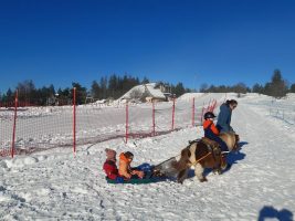 Luge Joëring