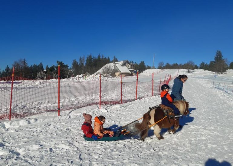 © Luge Joëring_La Chambonie - Patrick Marchand