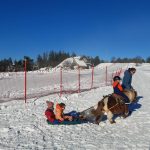 © Luge Joëring_La Chambonie - Patrick Marchand