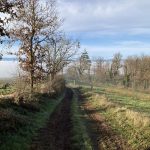 © Sentier découverte du viaduc du pont marteau : sur les traces du tacot_Sainte-Colombe-sur-Gand - OT FOREZ-EST