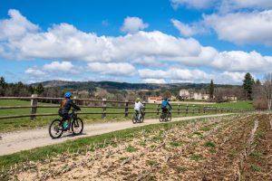 Entretien VTT et VTTAE - REVE BIKE