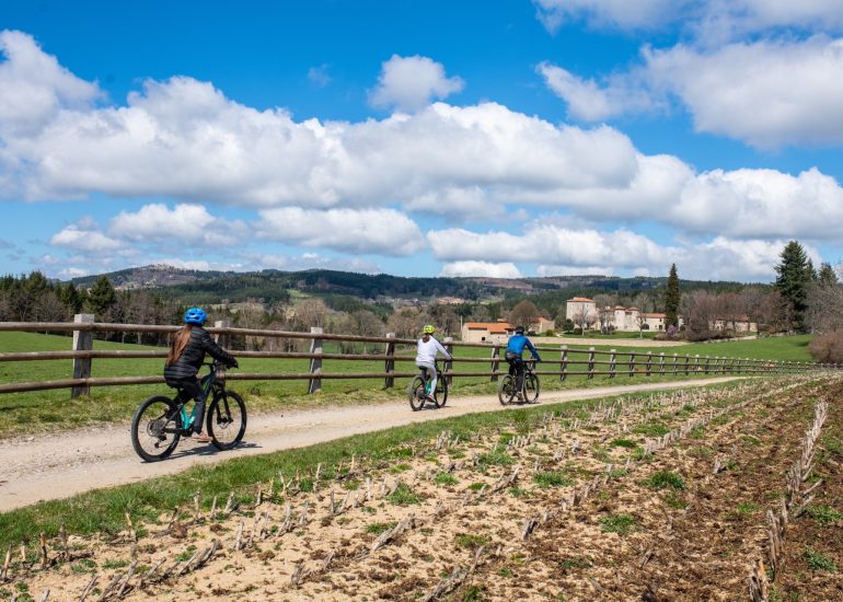 © REVE BIKE - Matteo DUBILLOT - Location de VTT et VTTAE - Estivareilles 42380 - REVE bike