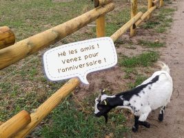 Anniversaire à la ferme - C'est ton anniversaire et tu adores les animaux ?