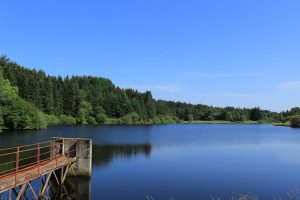 Etang de pêche