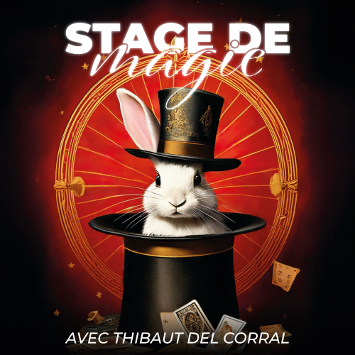 © Stage de magie_Montbrison - Quai des artistes