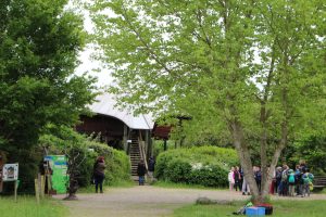 Sentier du castor - La Transligérienne :  Ecopôle du Forez à Feurs