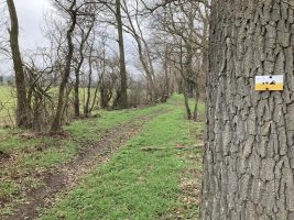 Sentier du castor - La Loire Forézienne : Montrond-les-Bains / Ecopôle du Forez