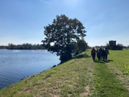 Marche des bords de Loire