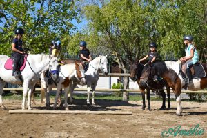 Stages équitation enfants