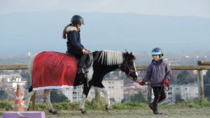 Equitation - programme d'hiver