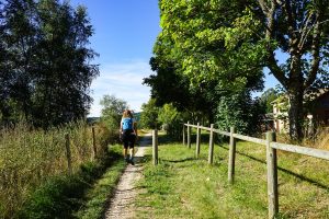 L'Aventure du rail