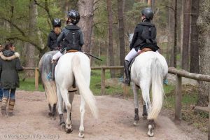 Balades à cheval et à poney