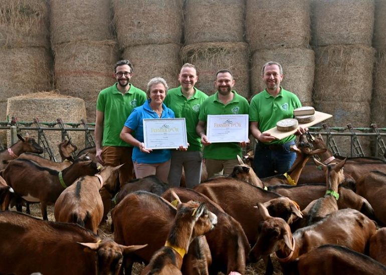 © De Ferme en Ferme - Ferme Bory Bayle Coeur du Forez_Saint-Romain-le-Puy - De Ferme en Ferme - Ferme Bory Bayle Coeur du Forez_Saint-Romain-le-Puy