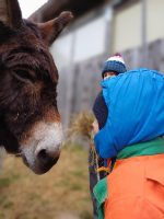 Jeu de piste à la recherche des œufs accompagnés de p’tit âne