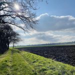 © Sentier La fontaine de Grénieux_Nervieux - OT FOREZ-EST