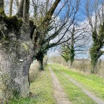 © Sentier La fontaine de Grénieux_Nervieux - OT FOREZ-EST