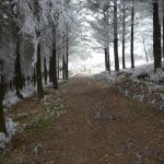 © Gite du Pas - Gîtes de France