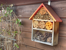 Atelier Gîtes à insectes et bombes à graines