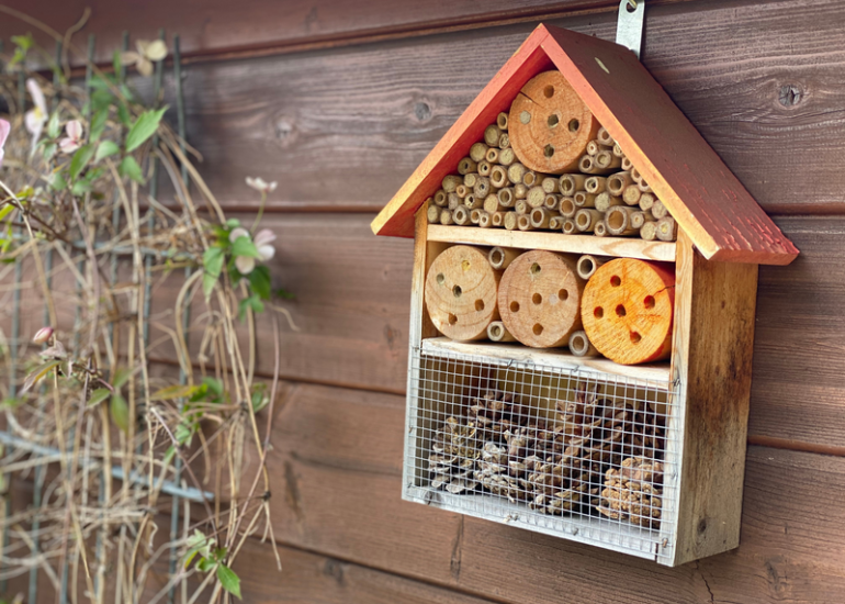 © Atelier Gîtes à insectes et bombes à graines_Panissières - Canva