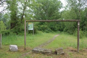 Sentier de la forêt vierge