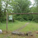 © Sentier de la forêt vierge_Montrond-les-Bains - OT FOREZ-EST