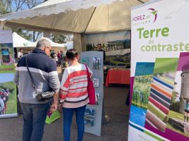 Accueil hors les murs - Marche des moulins