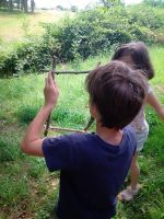 Land art - art sauvage dans la nature du Forez.