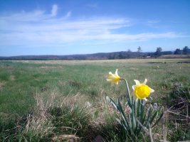 La nature au printemps, la vie reprend !