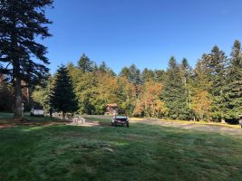 Chiens de traîneaux - Dubost nature